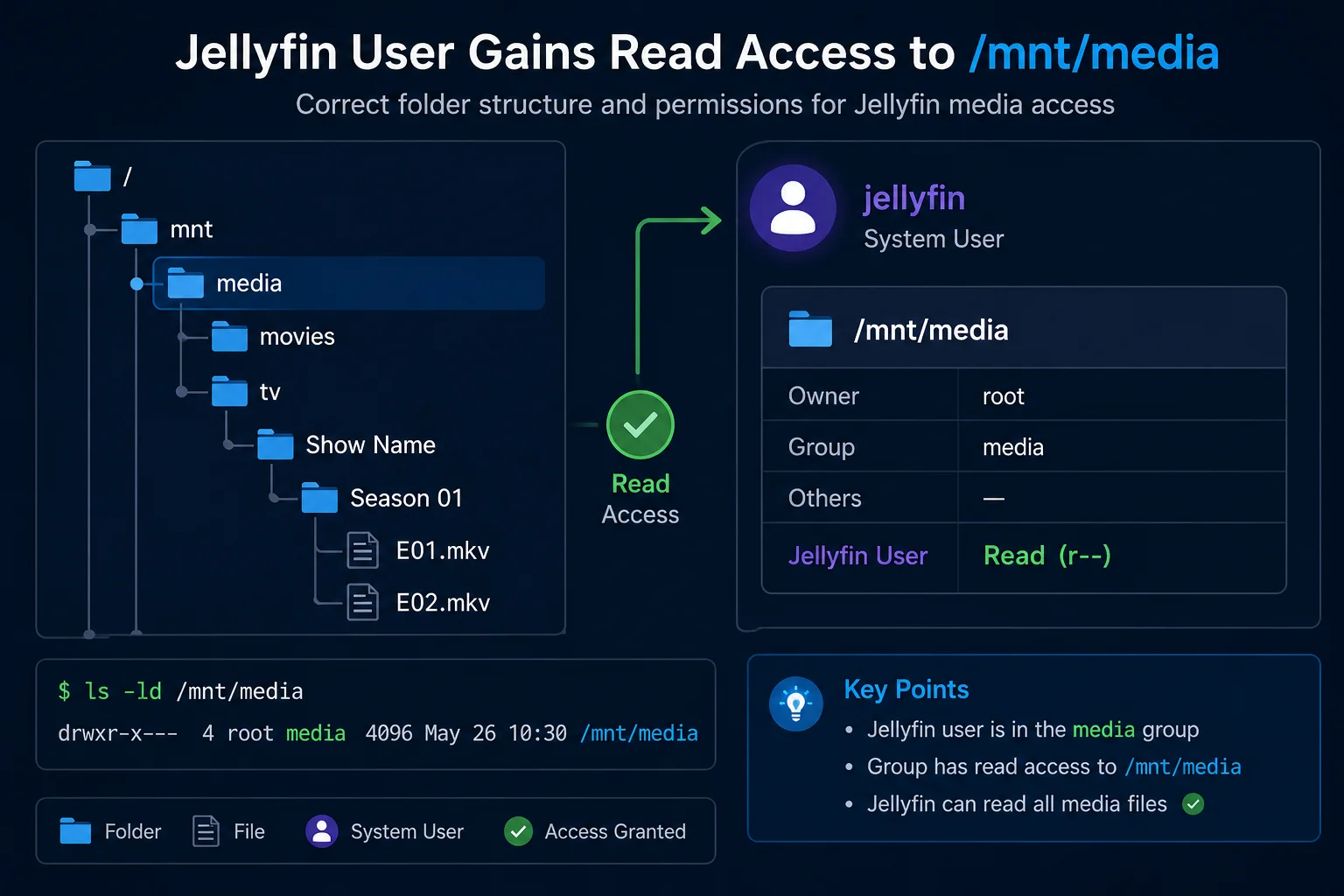 Jellyfin Docker Permissions: Fix Media Folder Access and UID/GID Errors